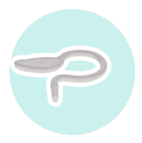 dental suctions tools, saliva ejectors and aspirators